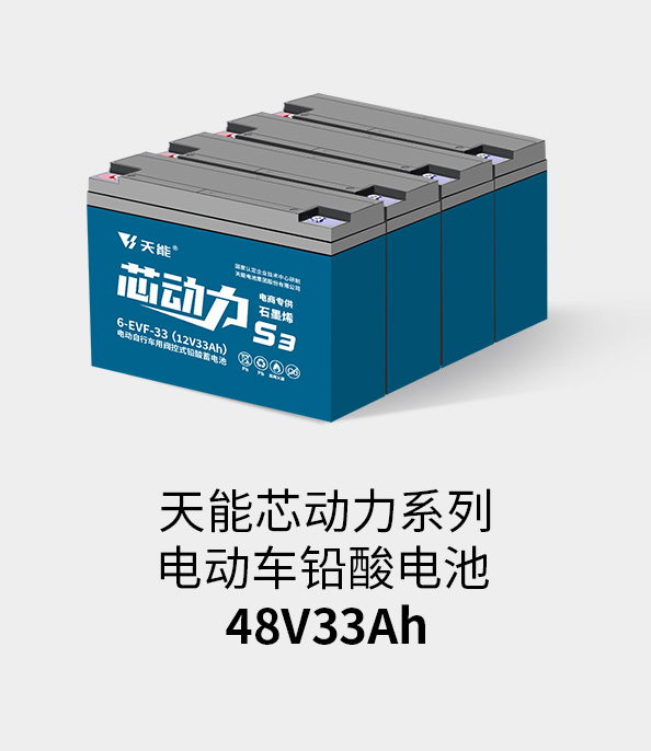 FH至尊电池48v32ah