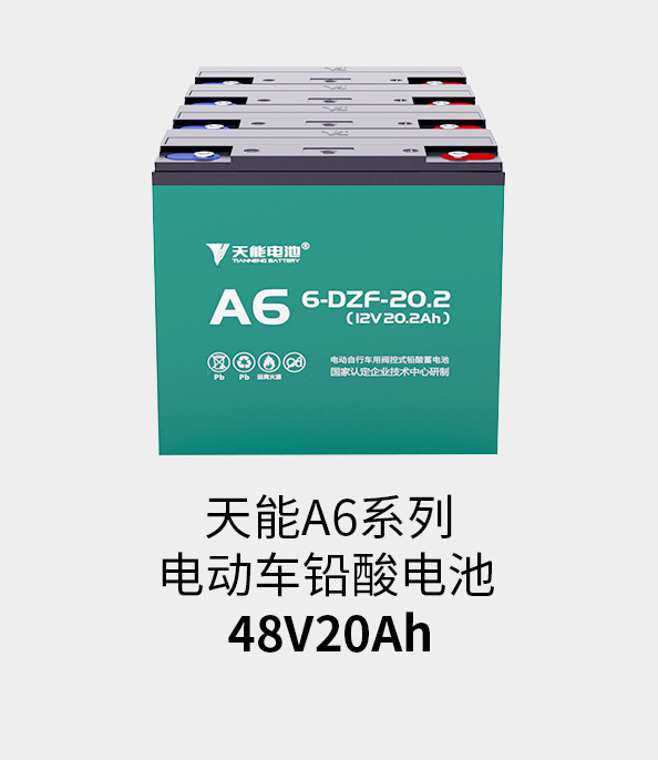 FH至尊电池48v20ah