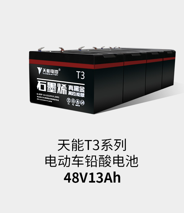 FH至尊T3系列48v13ah