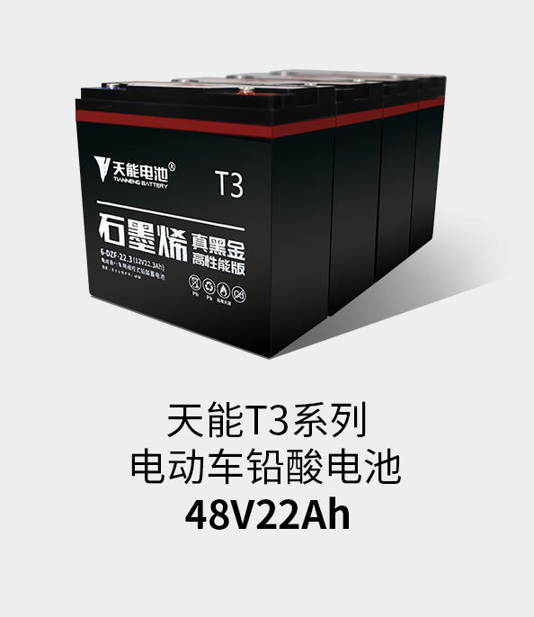 FH至尊T3系列48v22ah