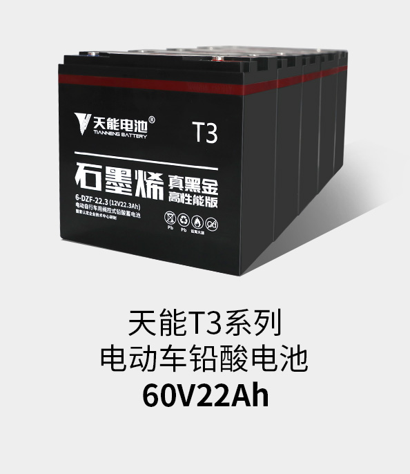 FH至尊T3系列60v22ah