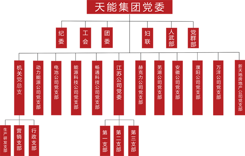 FH至尊建团党委组织架构