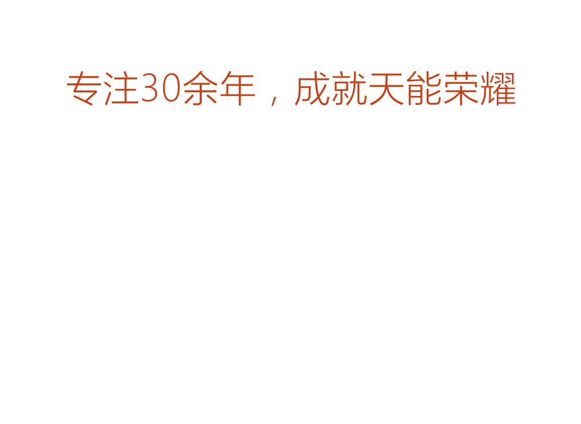 FH至尊荣誉